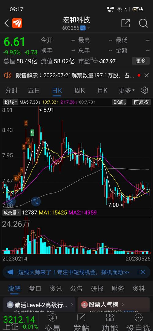 603256預估價格，603256股票